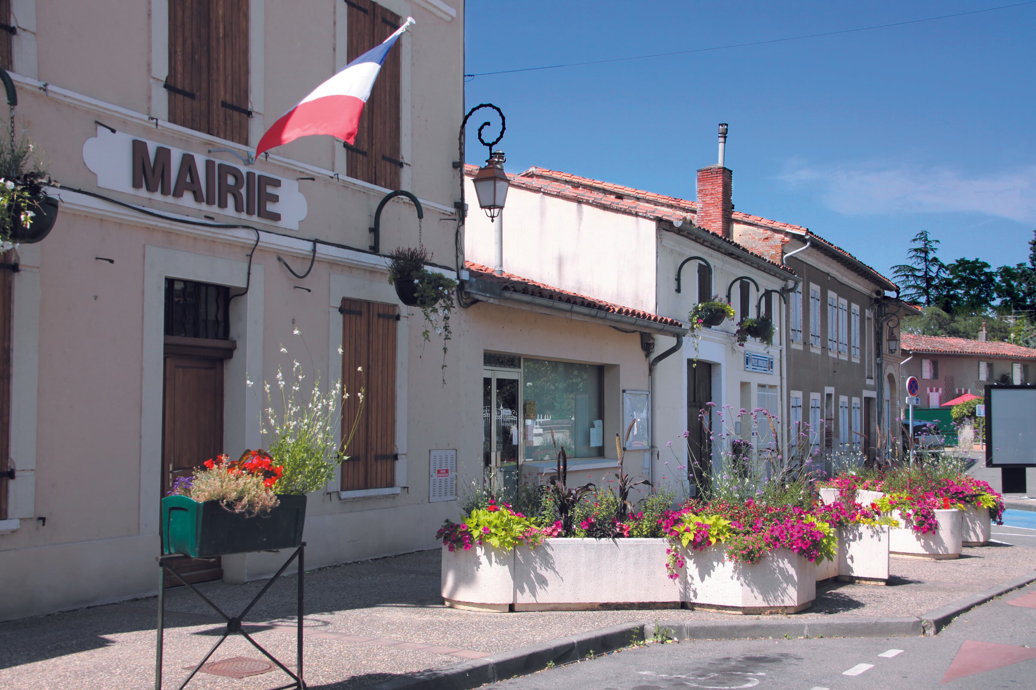 Photo 10 sur 12