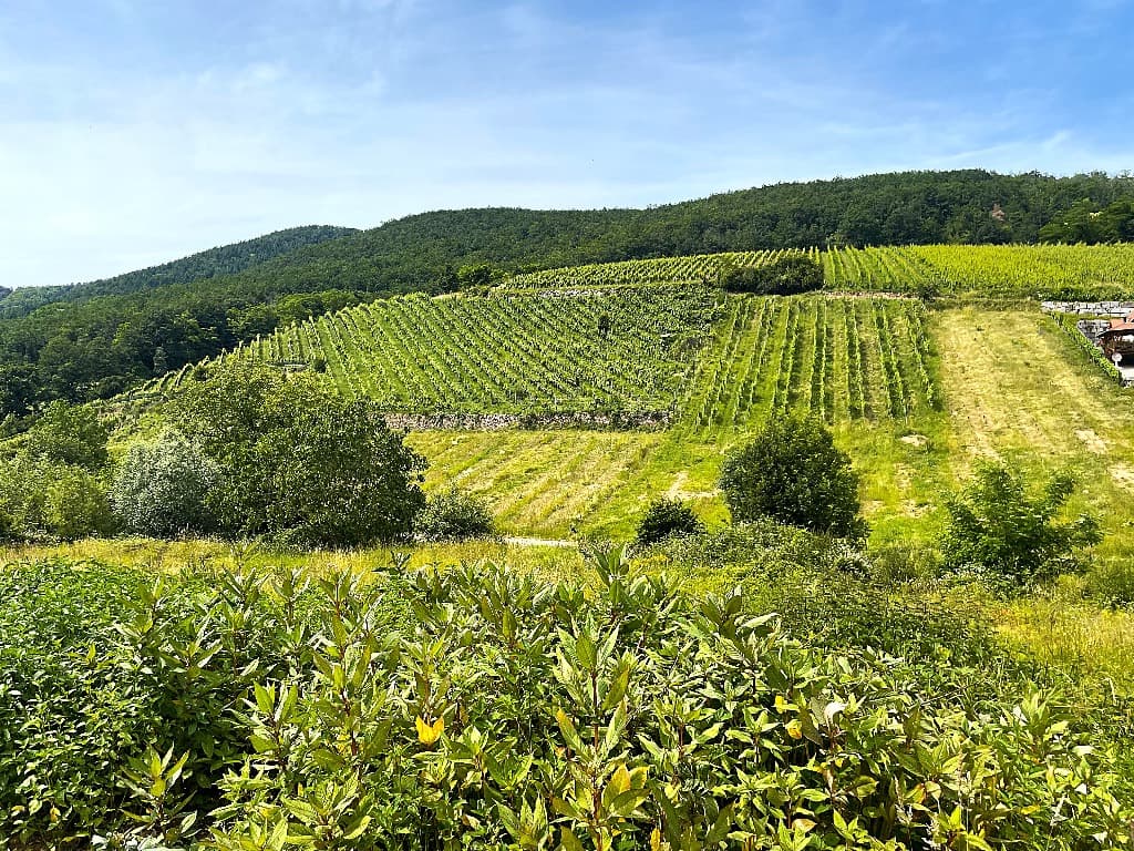 Vue du bien