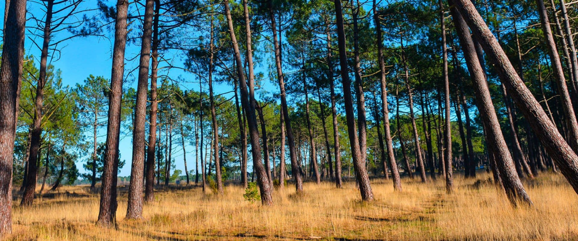 LE DOMAINE DE CAPDEIL - lots à bâtir