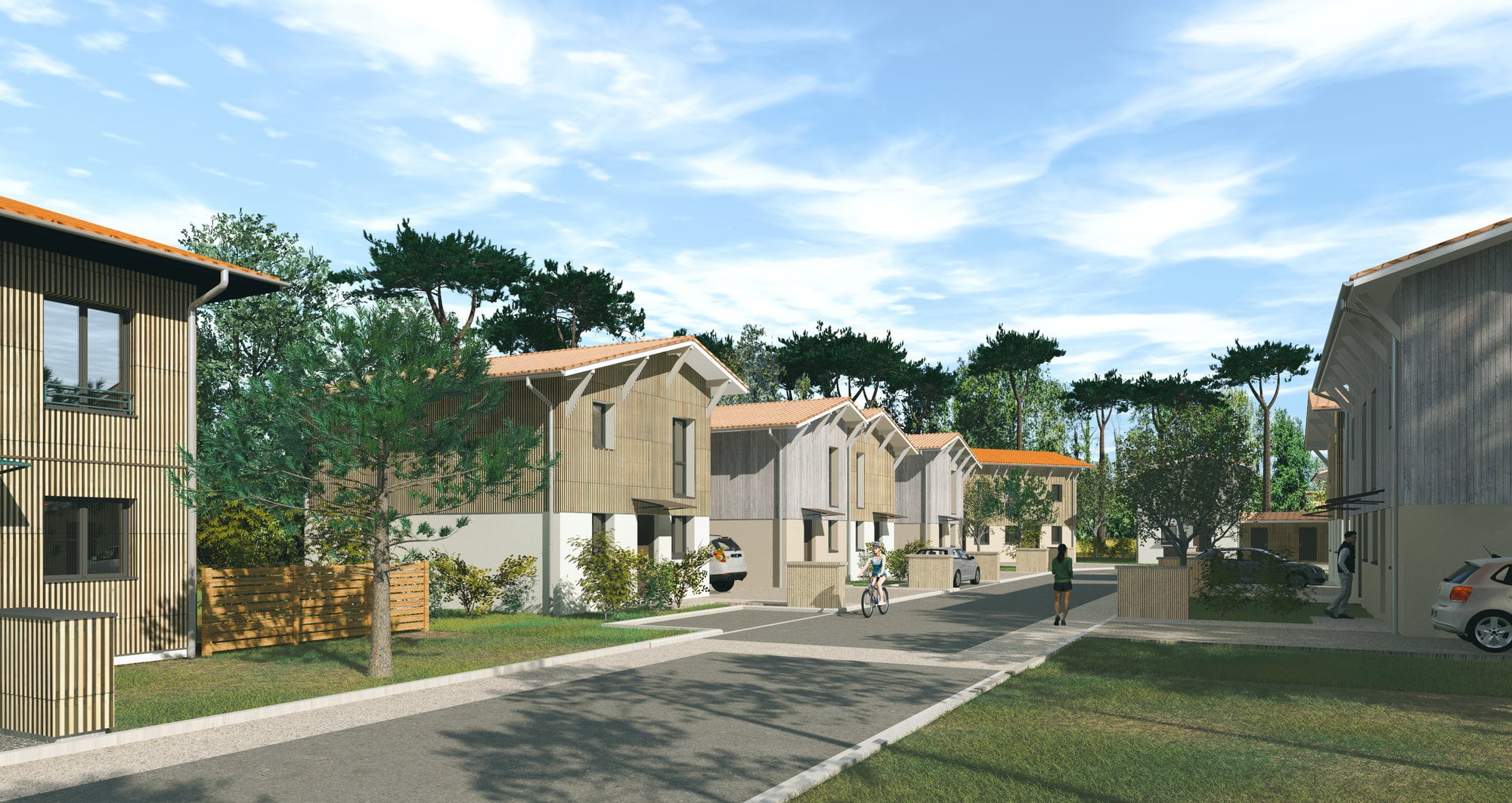 Image 1 sur 5 du lot