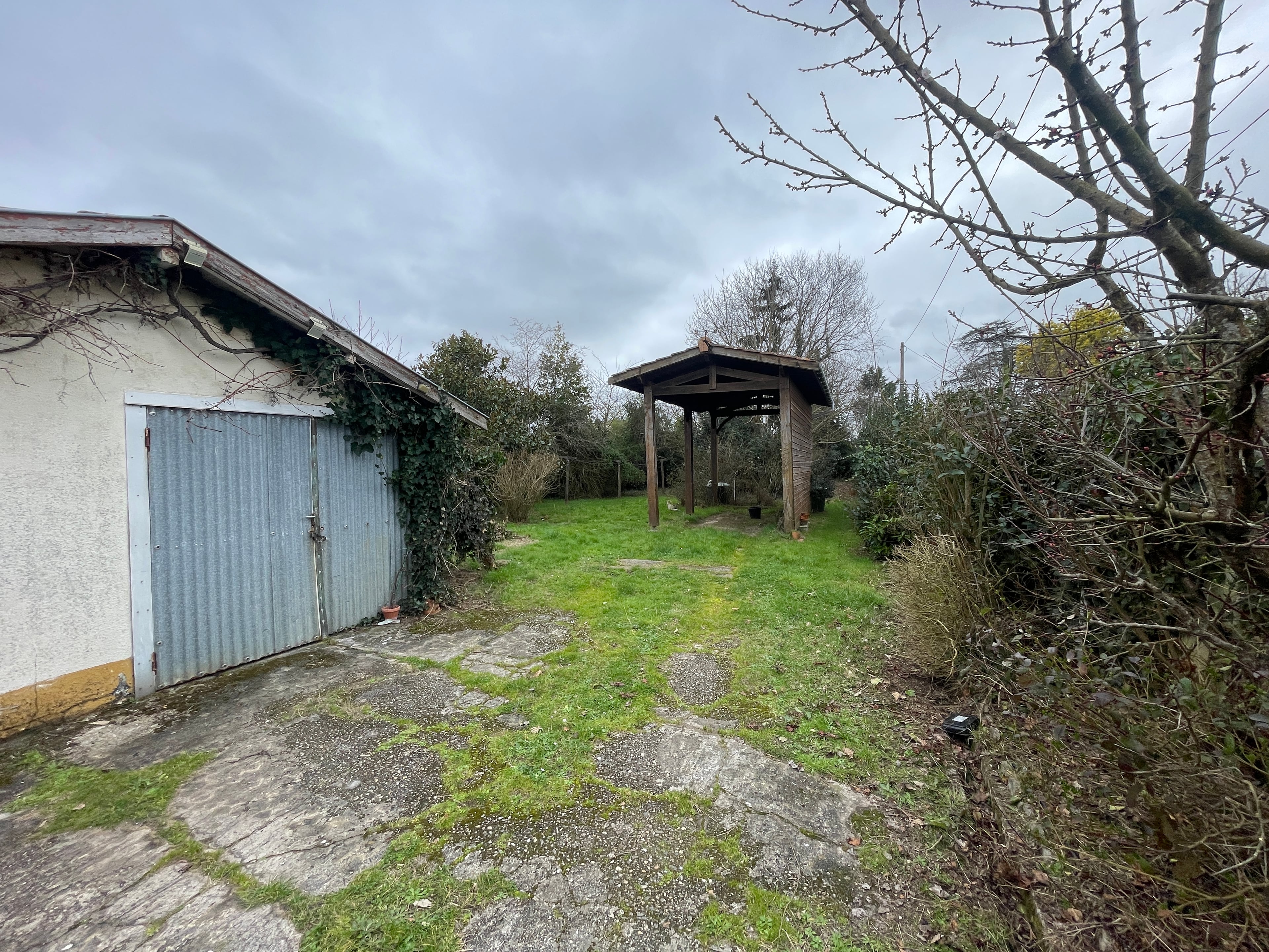 Image 1 sur 1 du lot