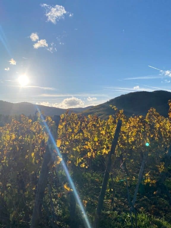 Vue du bien