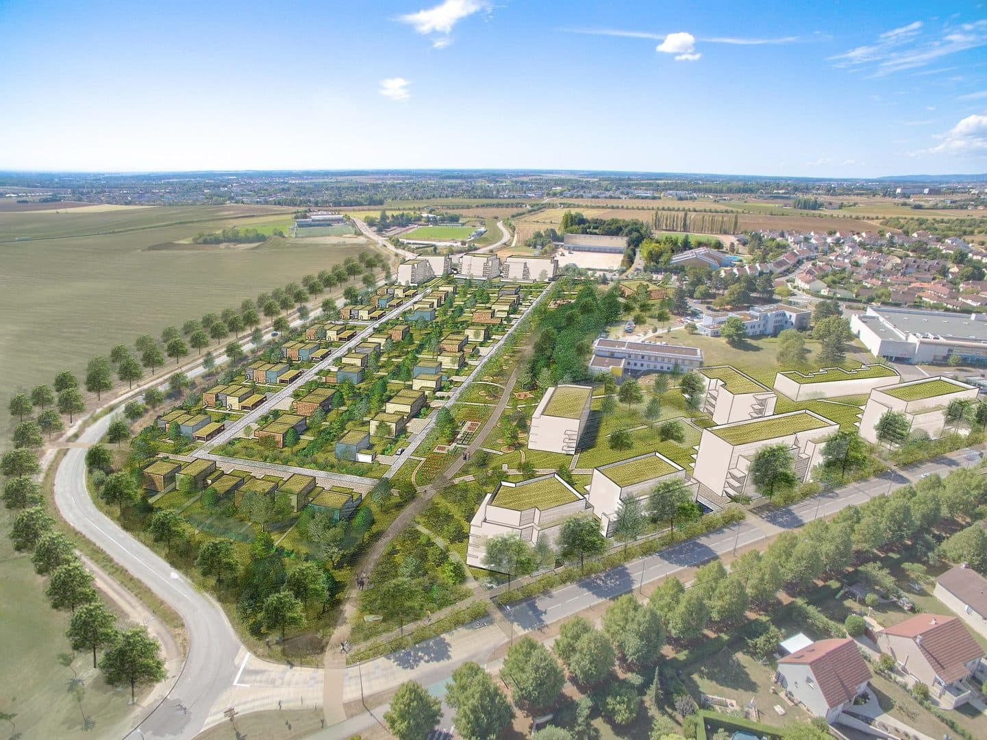 LES COURBES ROYES