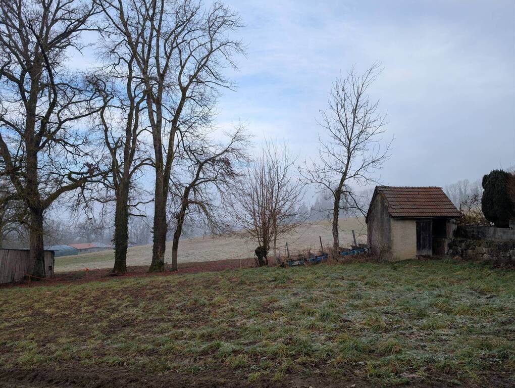 Photo 10 sur 11