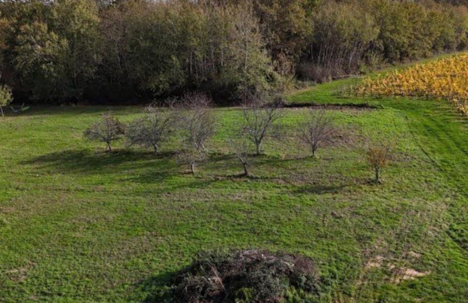 Terrain à partir de 755m² à Langoiran