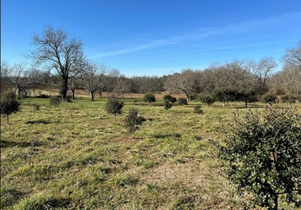 Terrain à partir de 3600m² à Hautefort