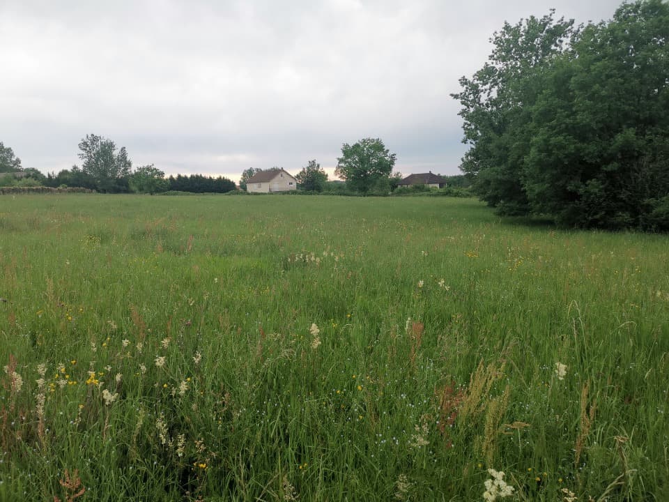 Terrain à partir de 950m² à Beauregard-de-Terrasson