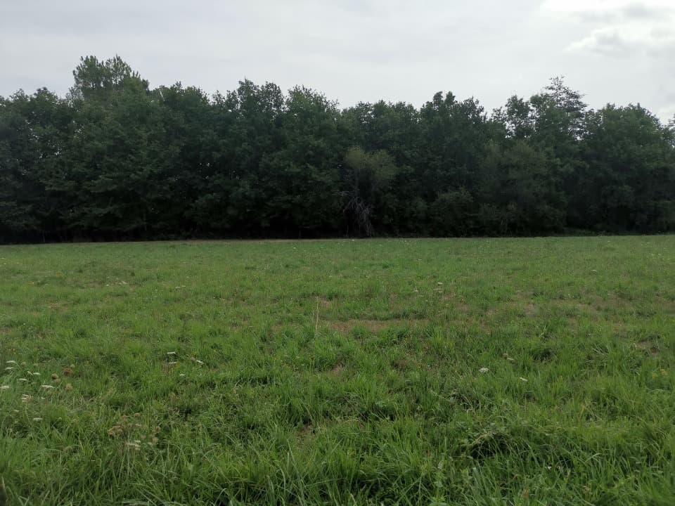 Terrain à partir de 1000m² à Terrasson-Lavilledieu