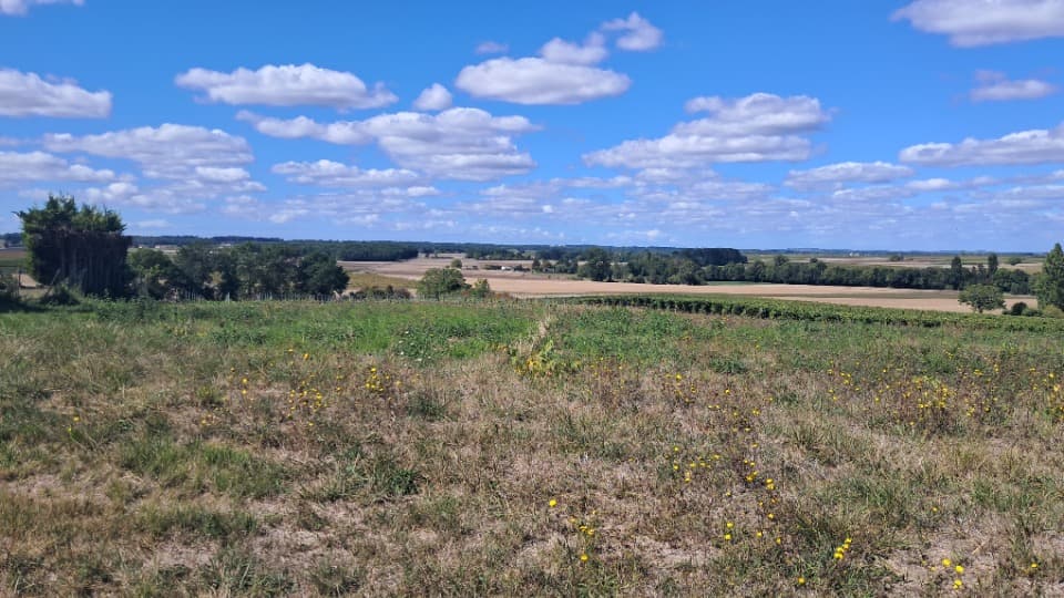 Terrain à partir de 2580m² à Saint-Maigrin