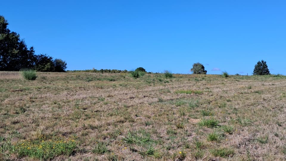 Terrain à partir de 1471m² à Mérignac