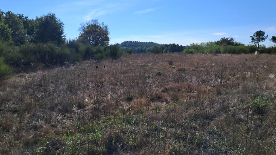 Terrain à partir de 985m² à Montguyon