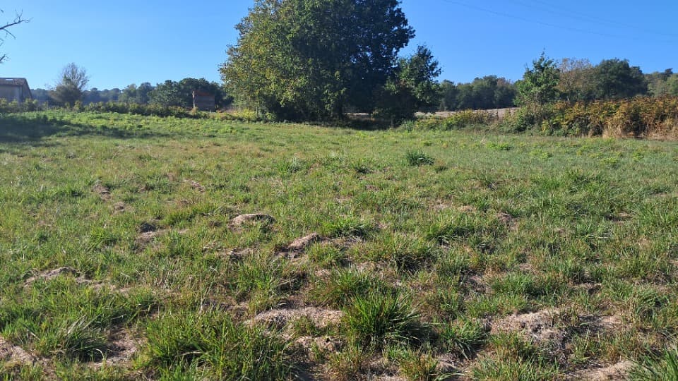 Terrain à partir de 1306m² à Sousmoulins