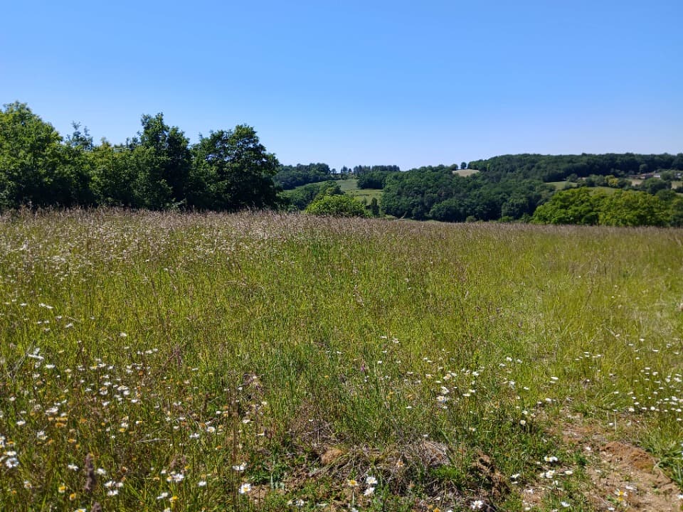 Terrain à partir de 2040m² à Saint-Astier