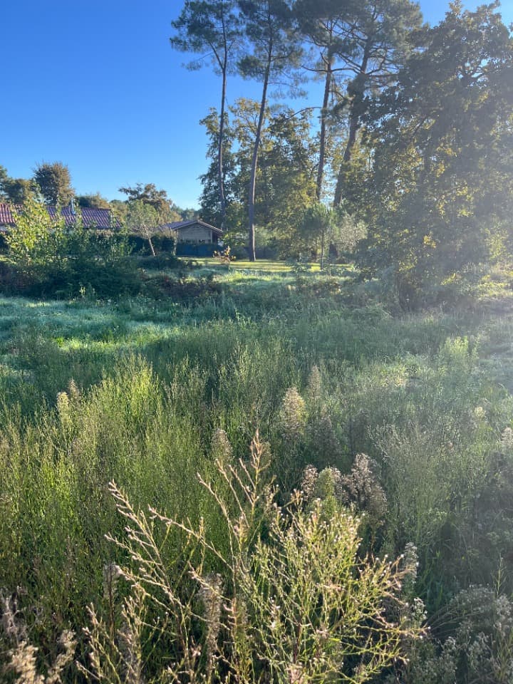Terrain à partir de 1000m² à Martignas-sur-Jalle