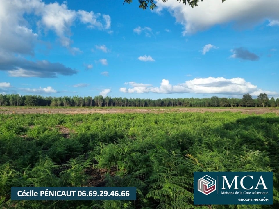 Vue principale du bien immobilier