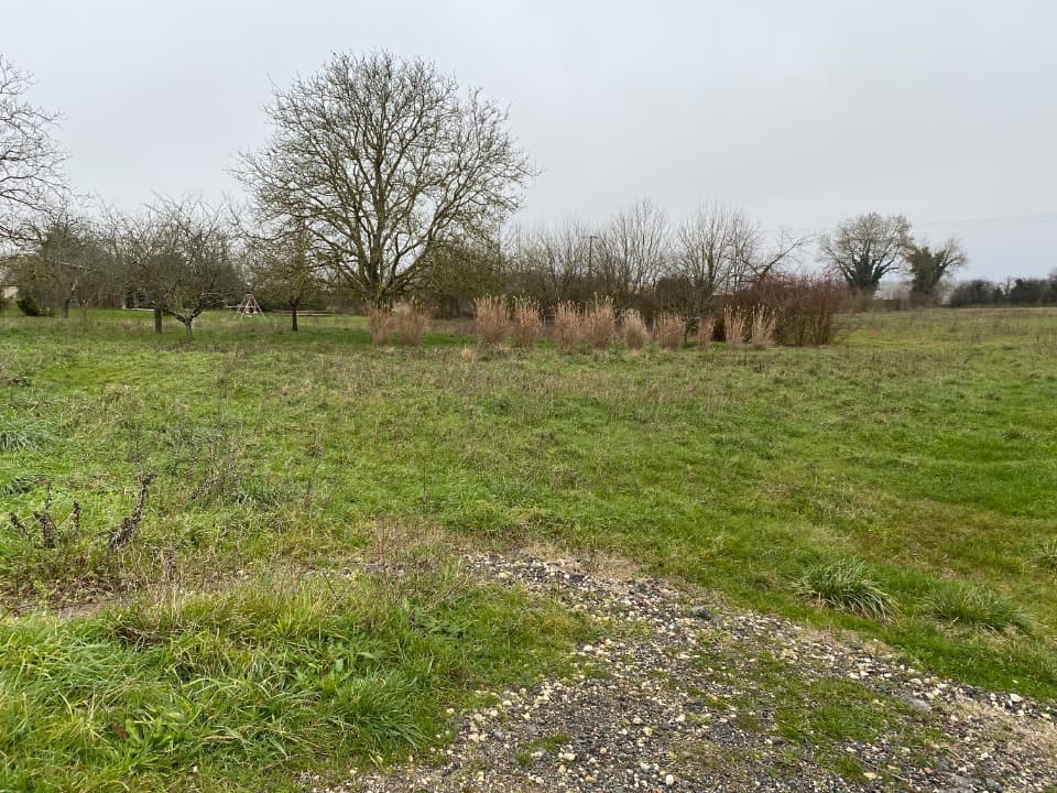 Terrain à partir de 989m² à Champagne