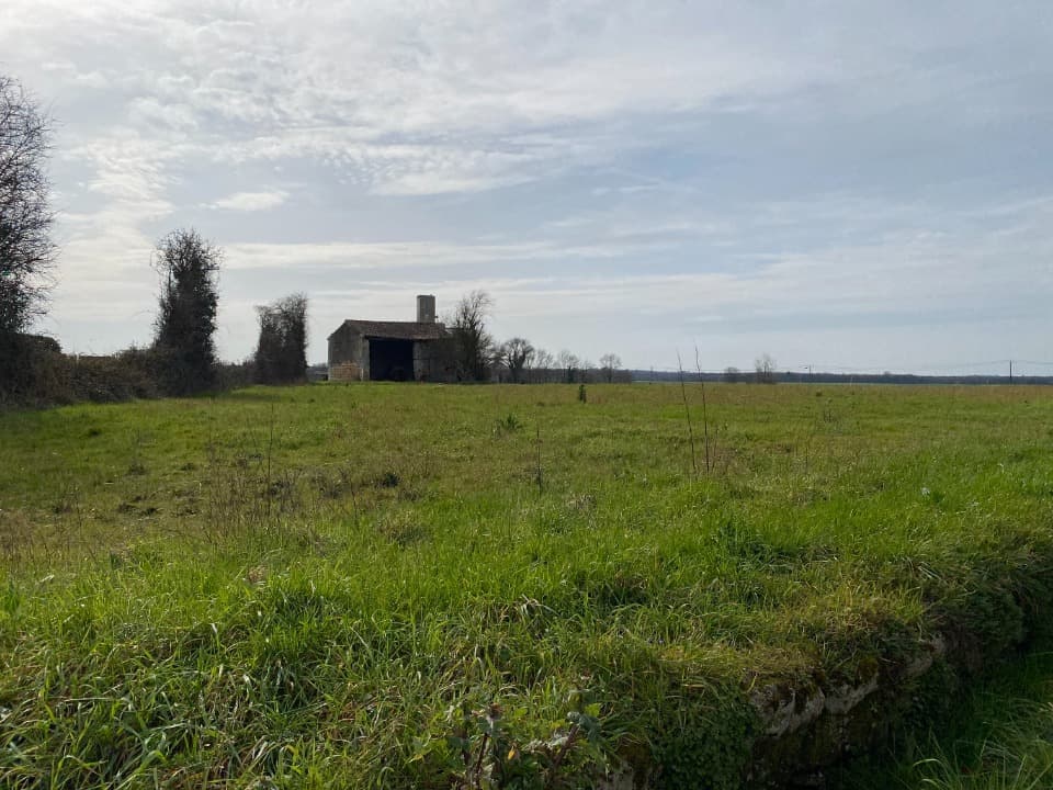 Terrain à partir de 753m² à Plassay