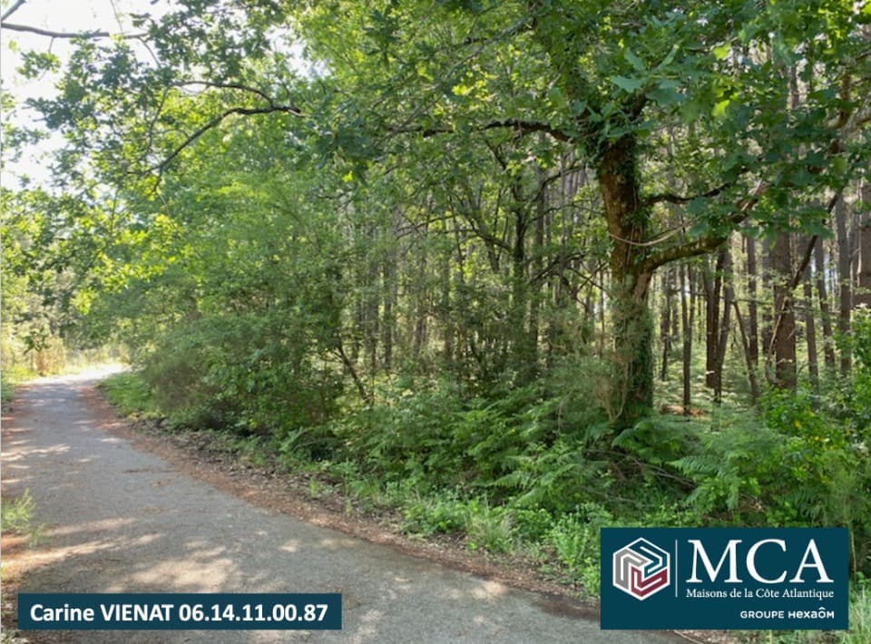 Terrain à partir de 480m² à Sanguinet