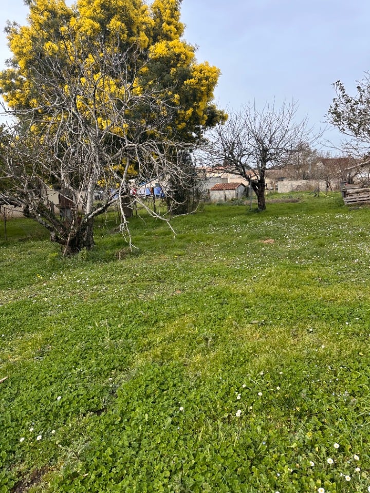 Vue secondaire du bien