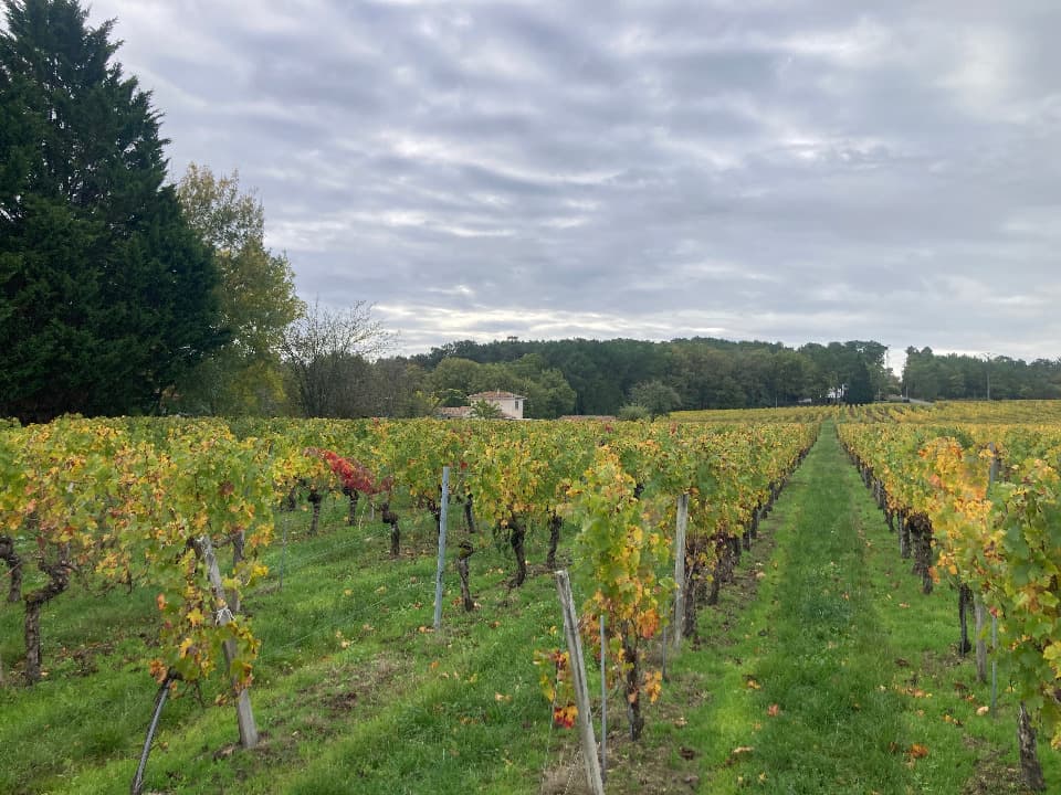 Terrain à partir de 1500m² à Saint-Sauveur-de-Puynormand