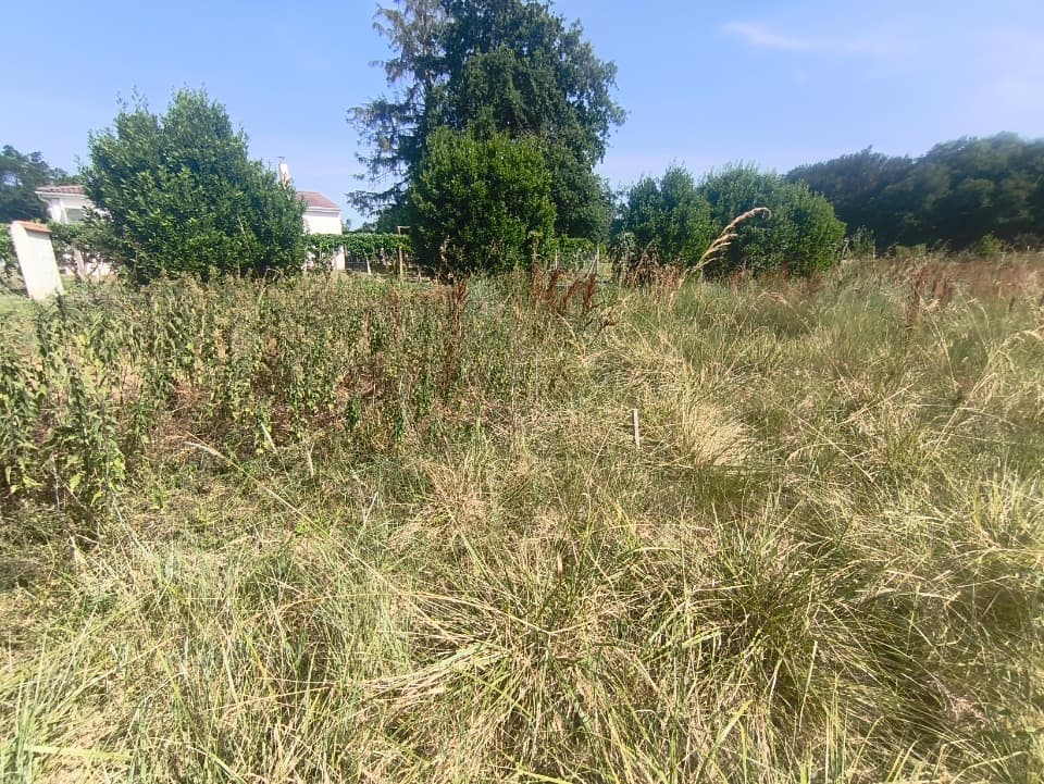 Terrain à partir de 311m² à Médis