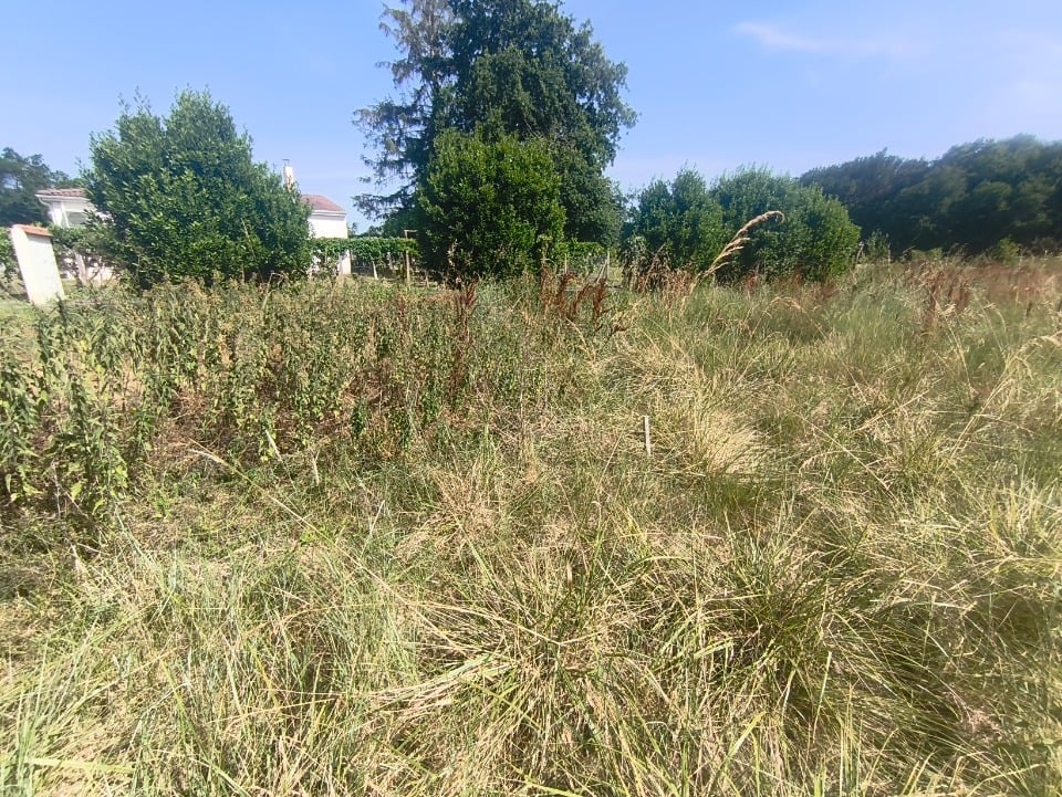 Vue secondaire du bien