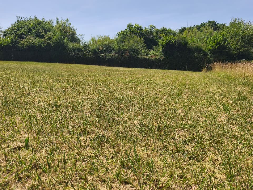 Terrain à partir de 980m² à Chaillevette