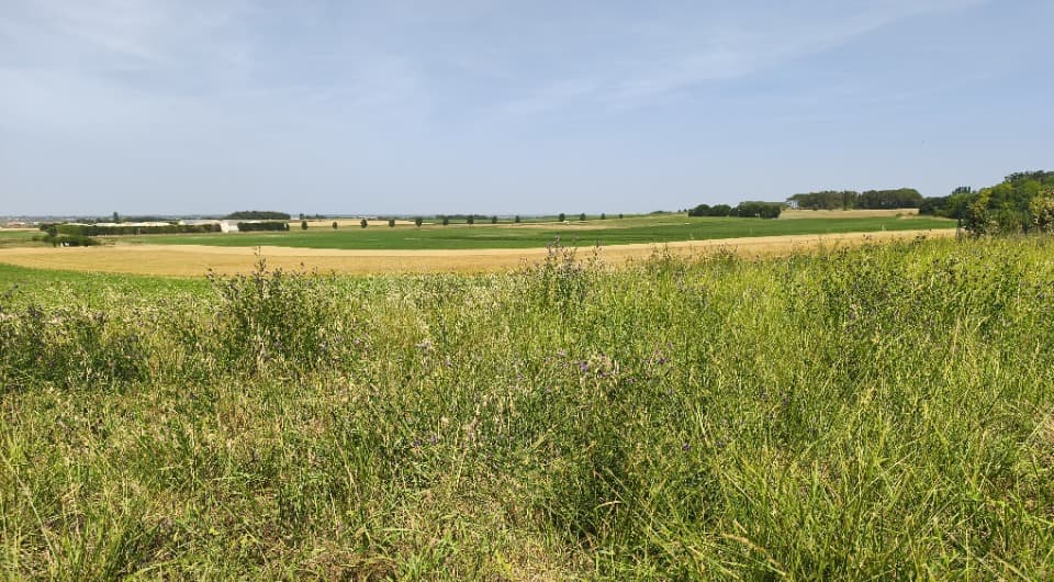 Terrain à partir de 445m² à Étaules