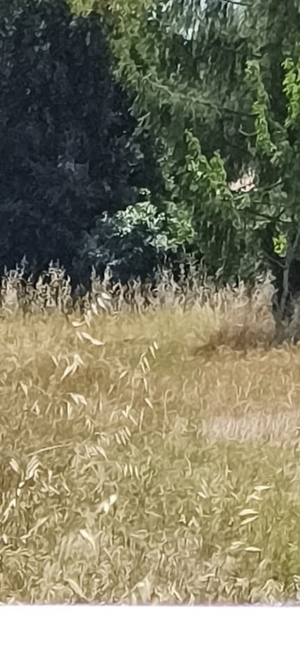Terrain à partir de 520m² à La Tremblade