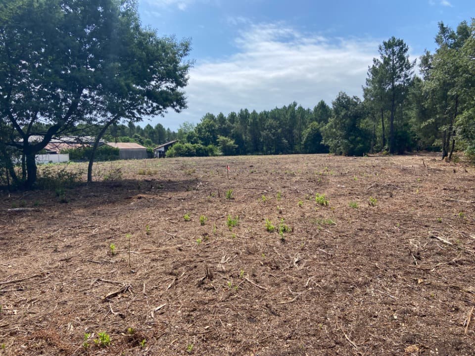 Terrain à partir de 655m² à Pontenx-les-Forges
