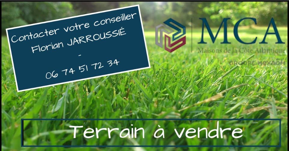 Photo 2 sur 3