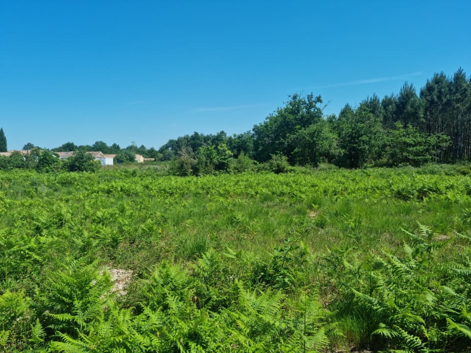 Terrain à partir de 762m² à Carcans