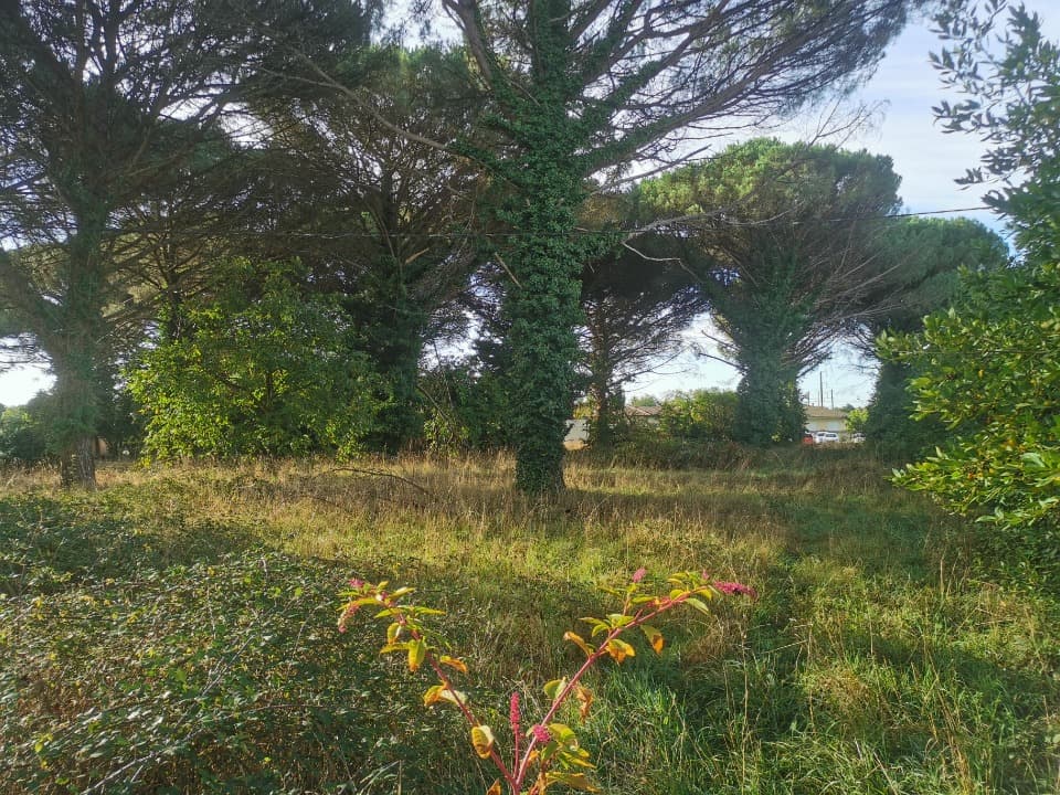 Terrain à partir de 400m² à Langon