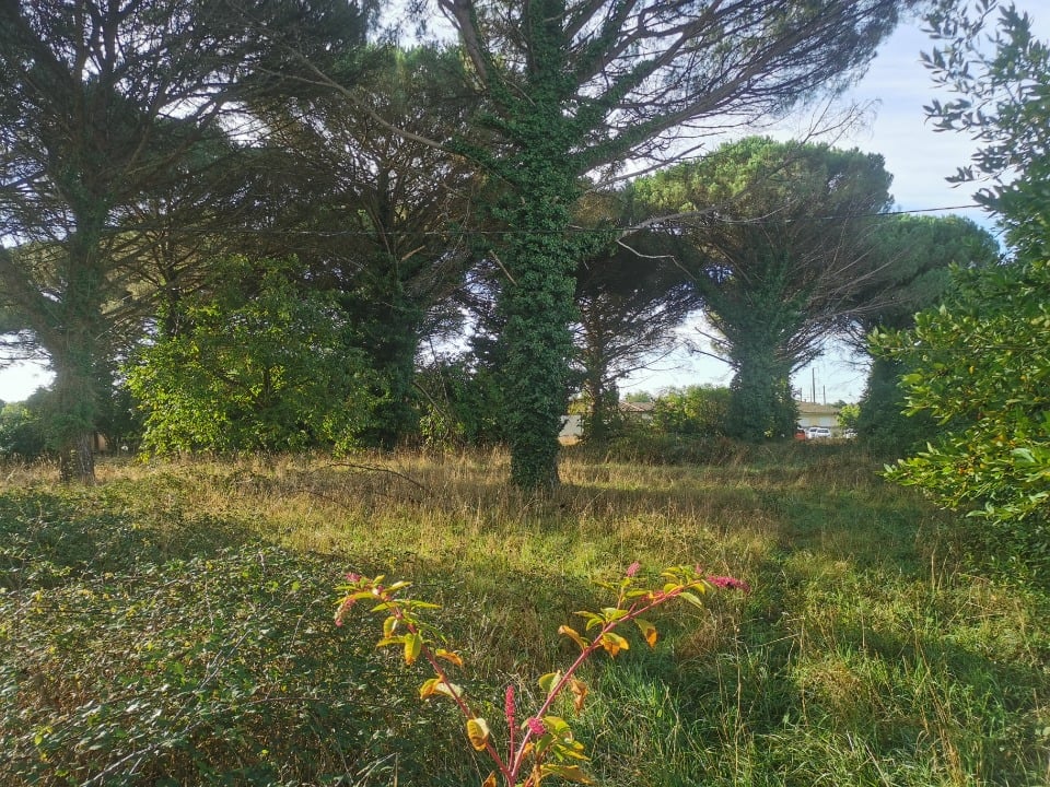 Vue principale du bien immobilier