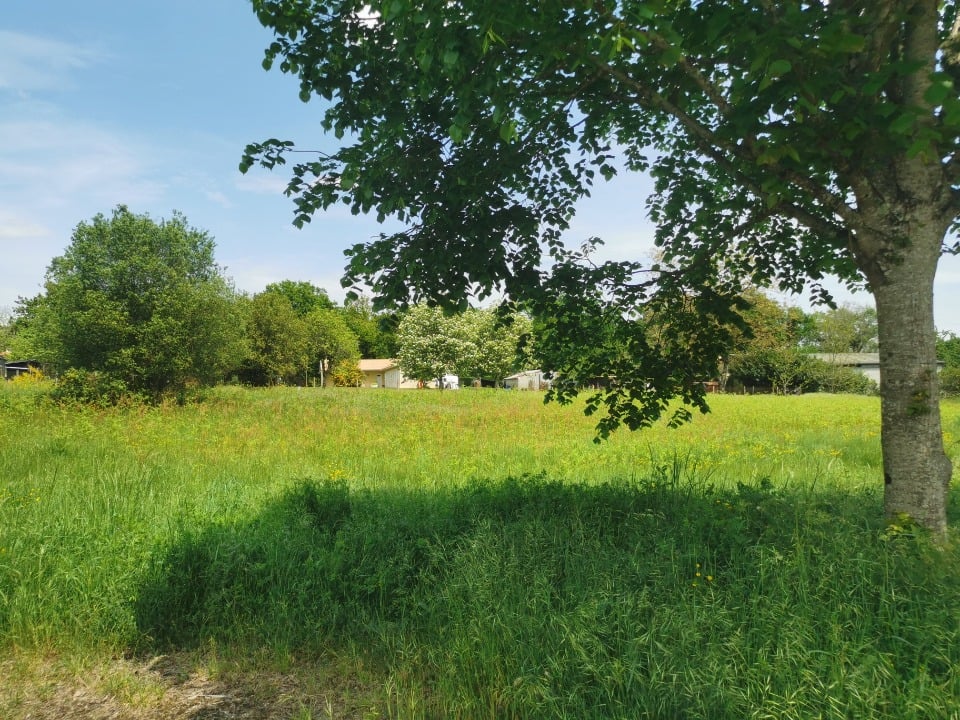 Vue principale du bien immobilier