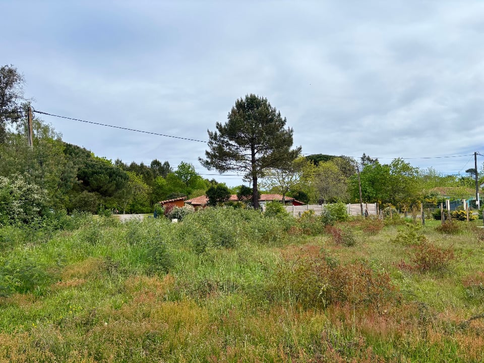 Vue principale du bien immobilier