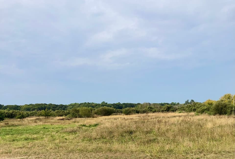 Terrain à partir de 514m² à Le Verdon-sur-Mer