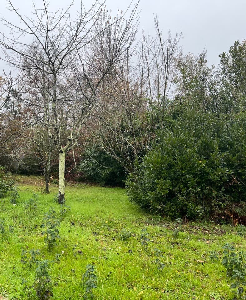 Terrain à partir de 300m² à Eysines