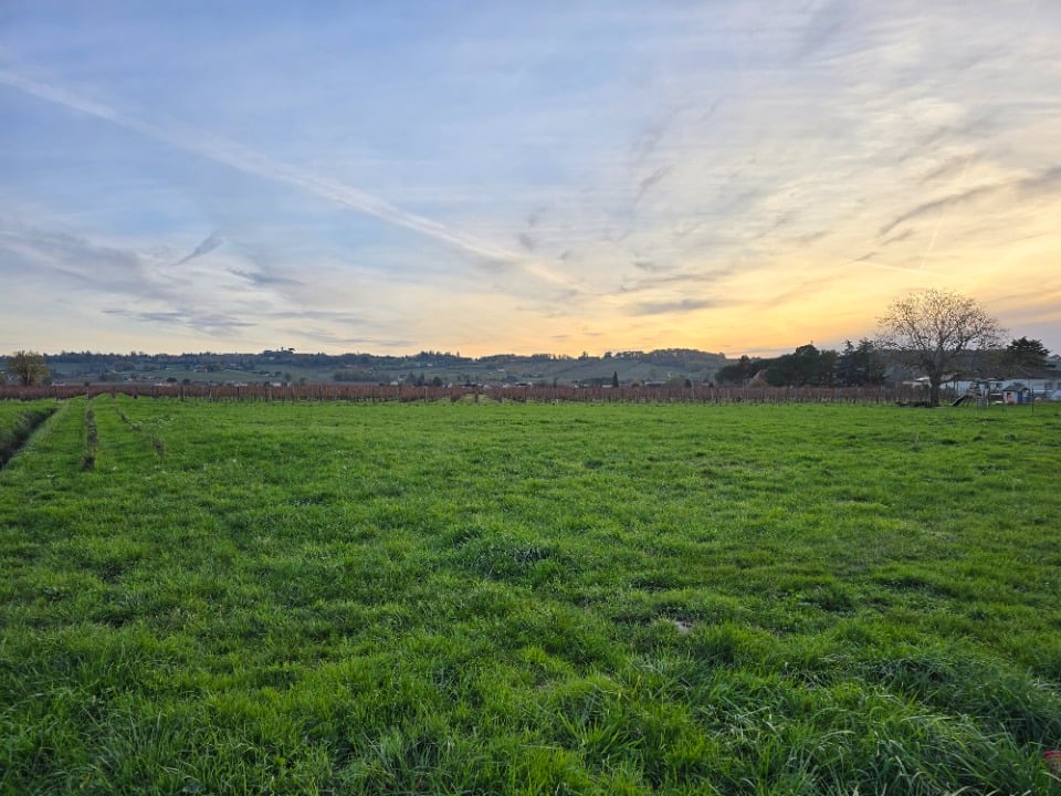 Vue principale du bien immobilier