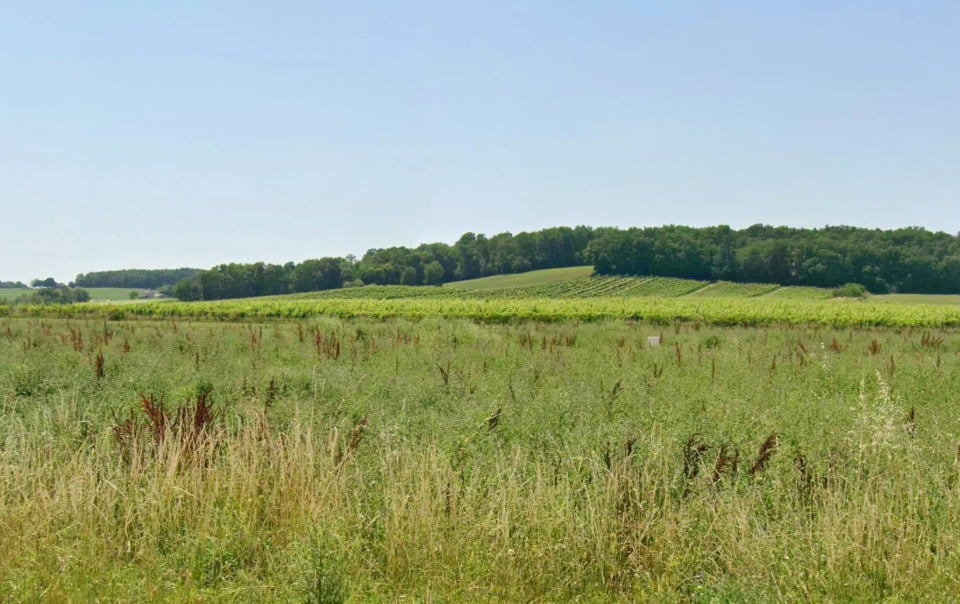 Vue principale du bien immobilier