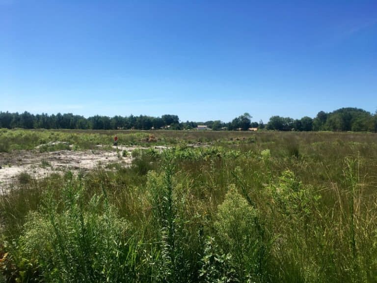Terrain à partir de 500m² à Mios