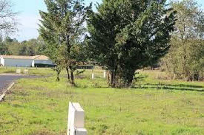 Terrain à partir de 326m² à Belin-Béliet