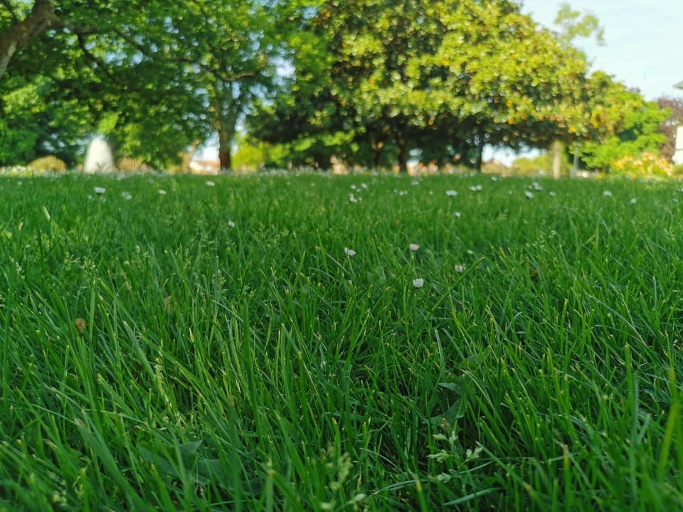 Terrain à partir de 720m² à Gujan-Mestras