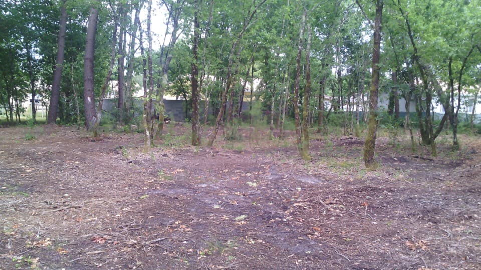 Terrain à partir de 646m² à Lugos