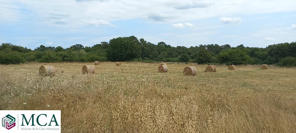 Terrain à partir de 1400m² à Eygurande-et-Gardedeuil
