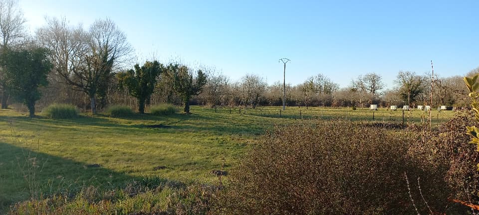 Terrain à partir de 1000m² à Ménesplet