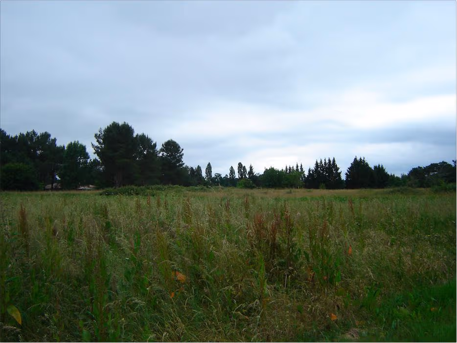 Terrain à partir de 2500m² à Saint-Michel-de-Double