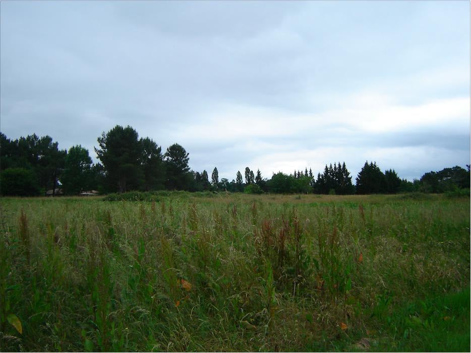 Vue principale du bien immobilier