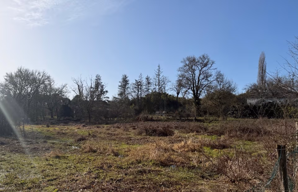 Terrain à partir de 1150m² à Noaillan