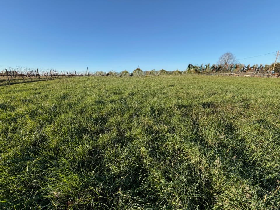 Terrain à partir de 429m² à Vayres